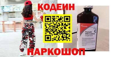 СК Бердск