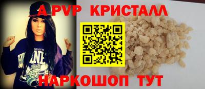 СК Бердск