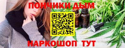 СК Бердск