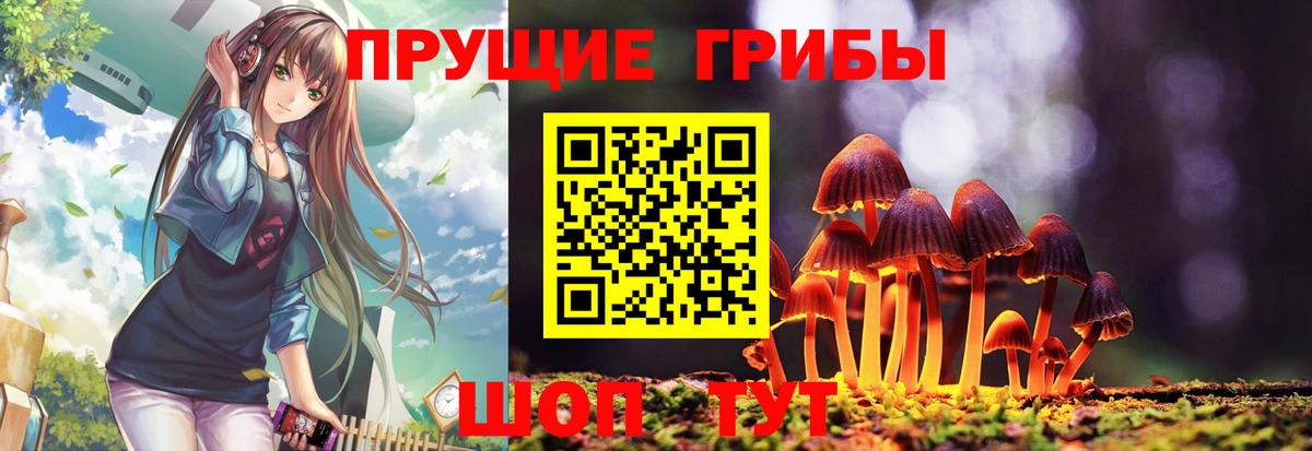 Псилоцибиновые грибы GOLDEN TEACHER  Псилоцибиновые грибы мицелий  Вход с VPN  Кольчугино 
