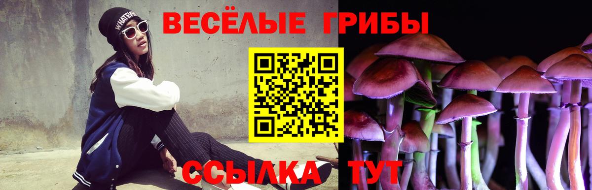 Псилоцибиновые грибы MAGIC MUSHROOMS Кольчугино